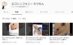 キンクマの動画をアップし始めました 可愛いハムスター動画を紹介 Lifeいーねっと